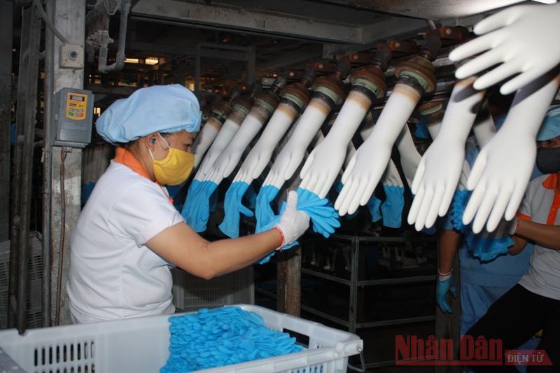 Tập đoàn cao su xây dựng chuỗi giá trị sản phẩm